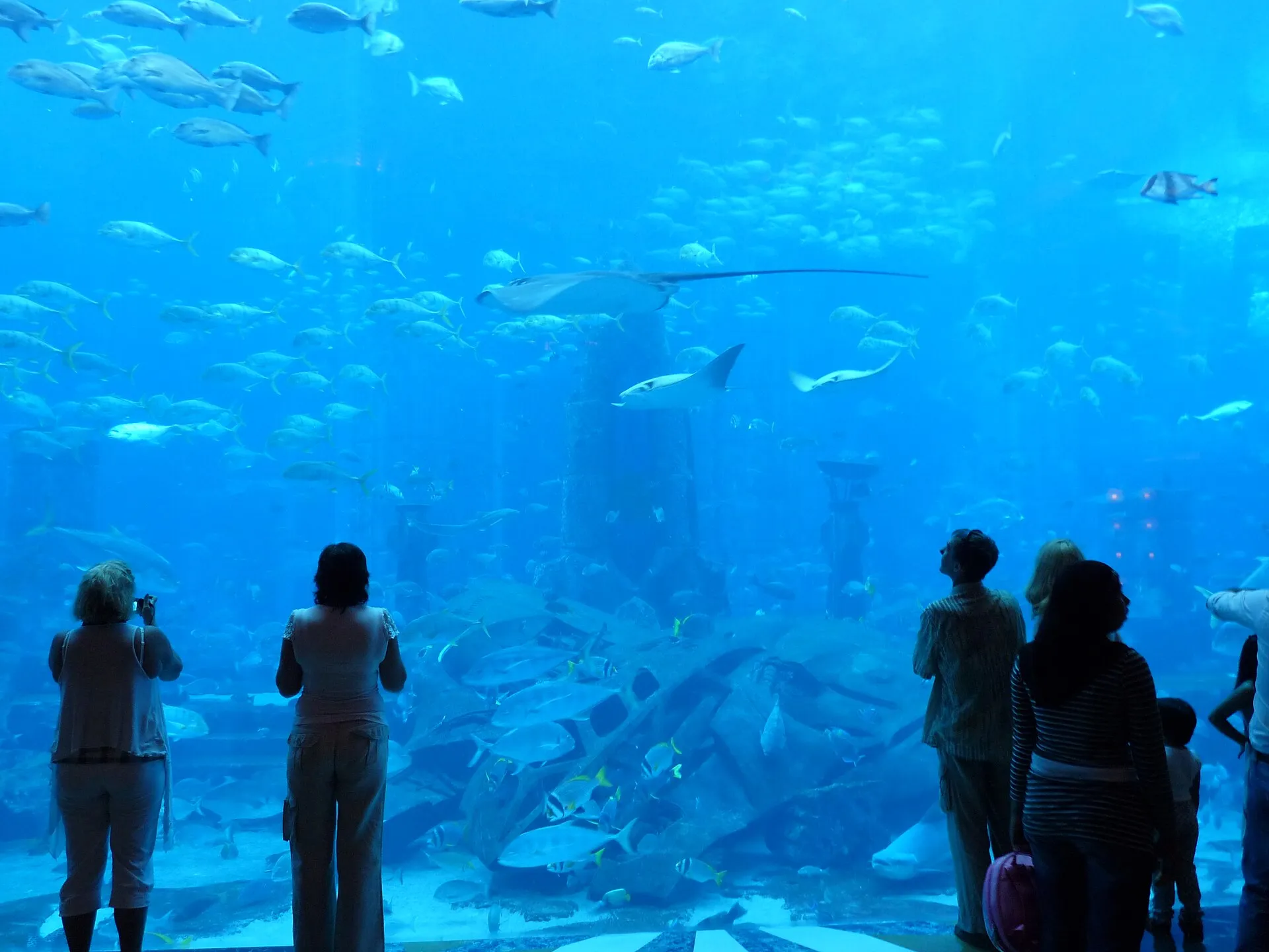 The Lost Chambers Aquarium, Palm Jumeirah, Dubai