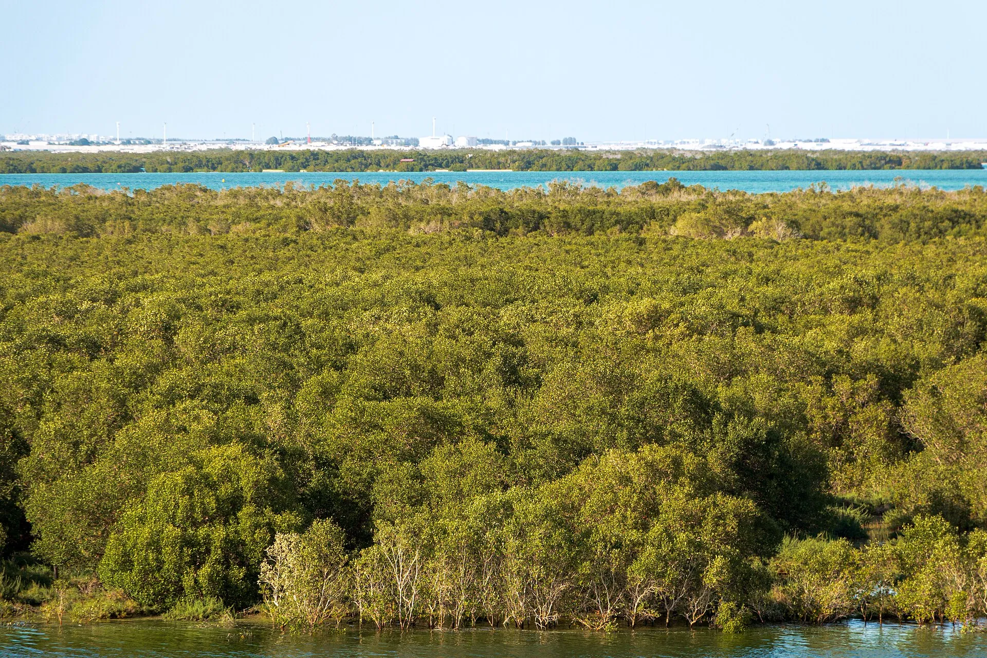 Eastern Mangrove National Park, Qasr Al Bahr, Abu Dhabi