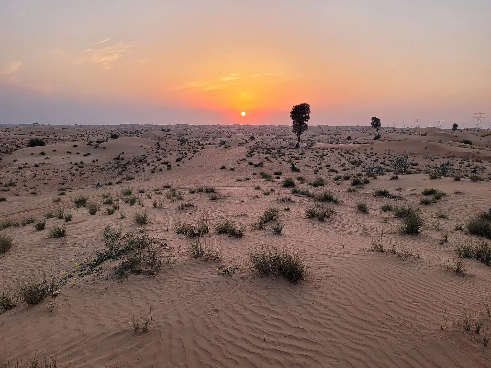 Dubai Desert Conservation Reserve, Umm Eselay, Dubai