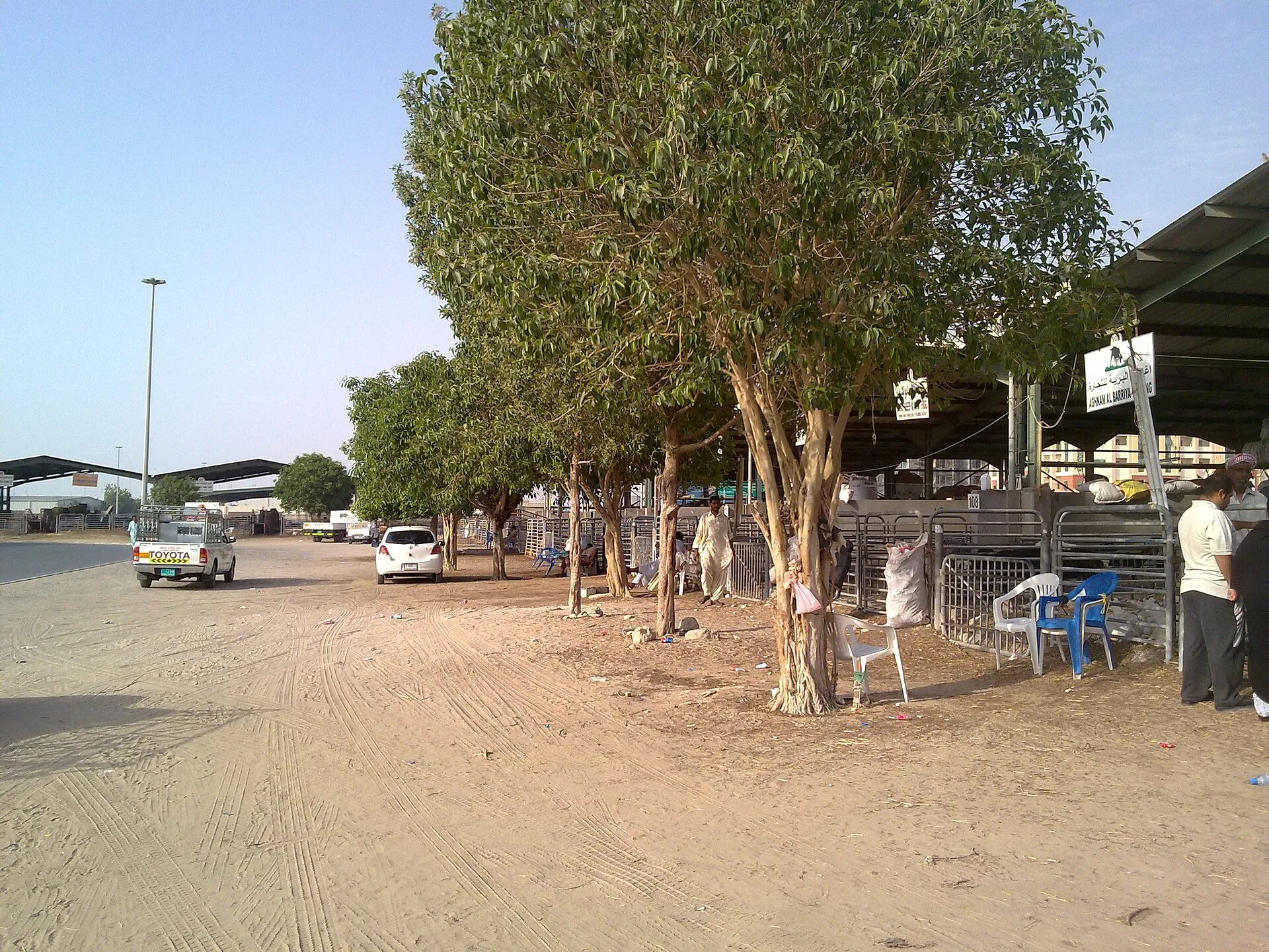 Cattle Market Dubai, Al Qusais Industrial 2, Dubai