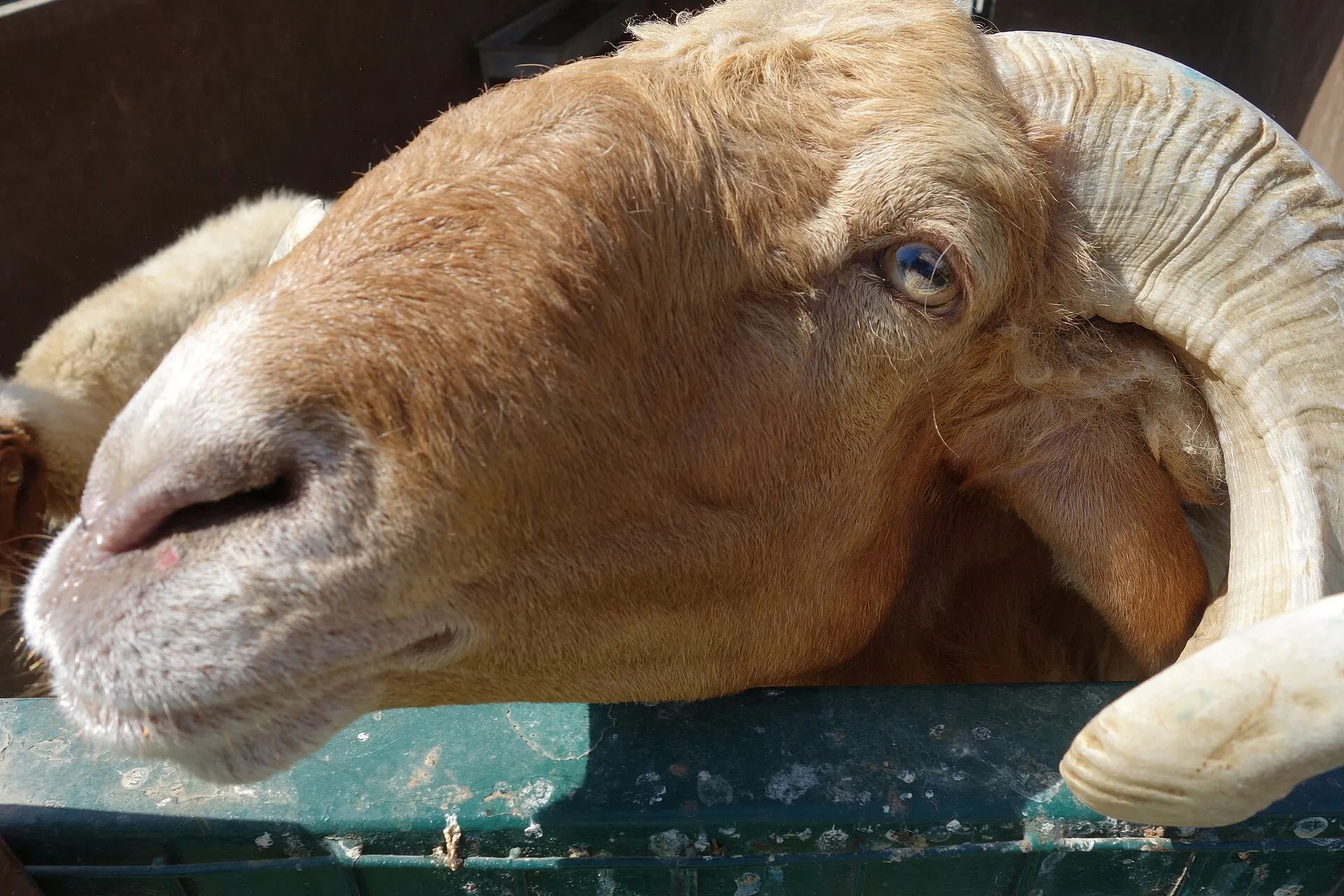 Emirates Park Zoo, Al Bahyah, Abu Dhabi