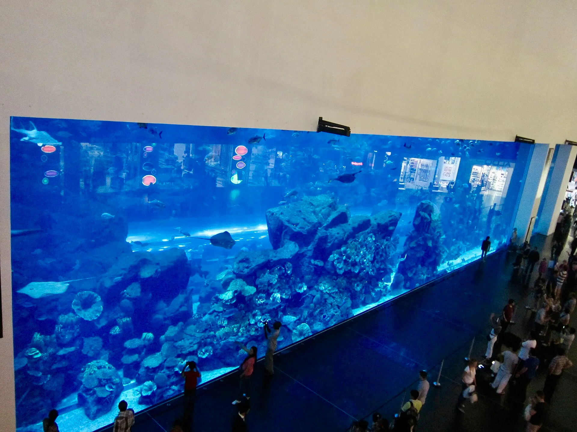Dubai Aquarium & Underwater Zoo, Downtown Dubai, Dubai