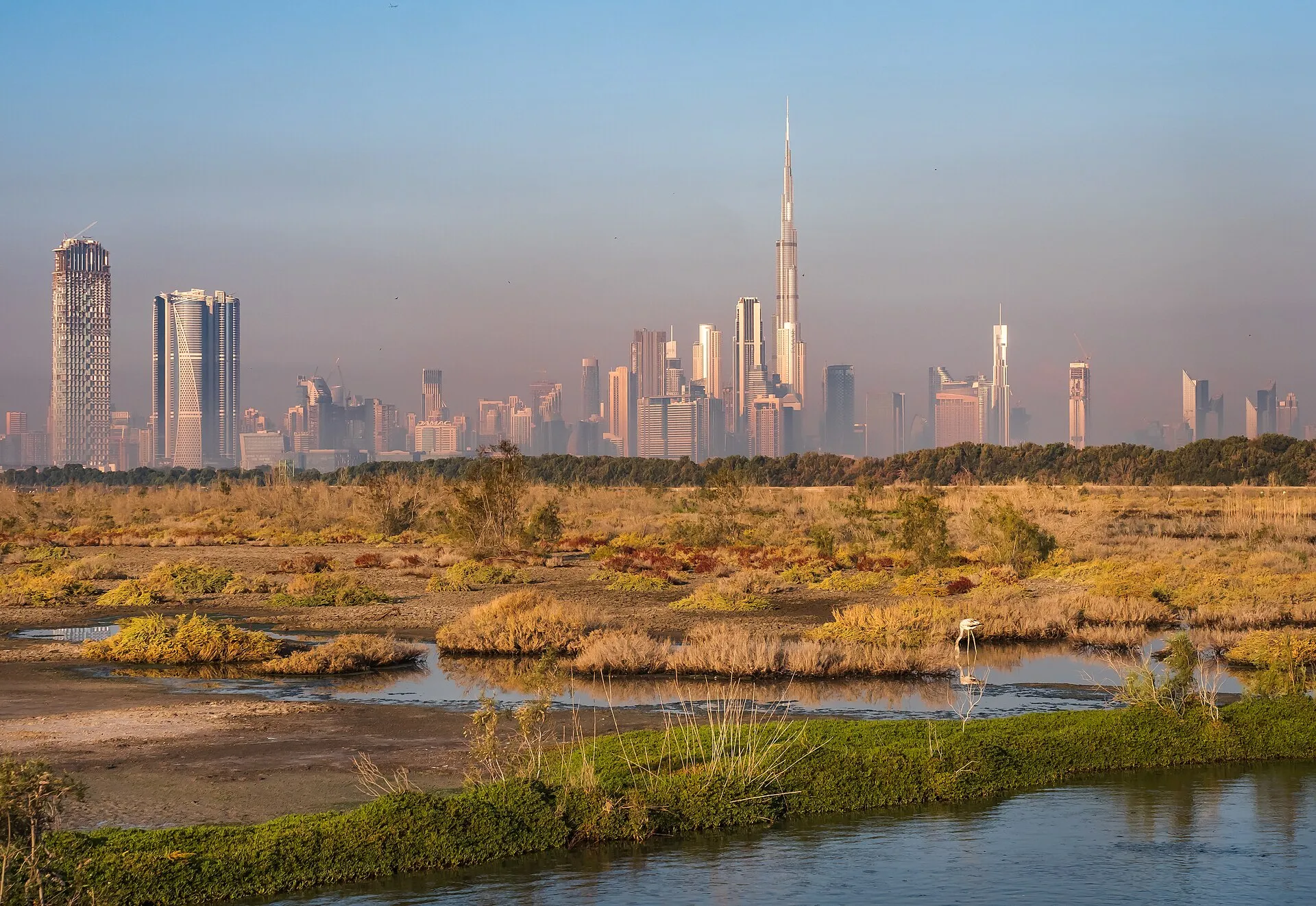 Ras Al Khor Wildlife Sanctuary, Al Jaddaf, Dubai