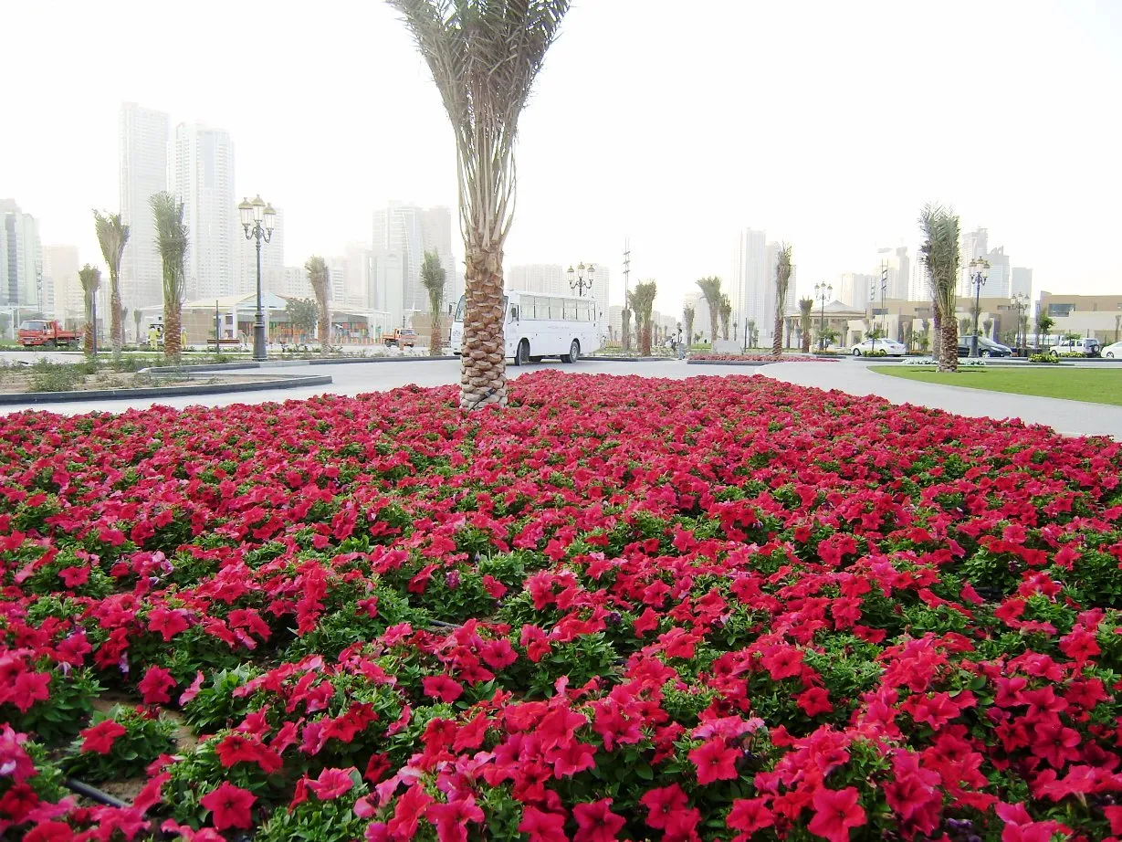 Al Majaz Park, Al Majaz, Sharjah