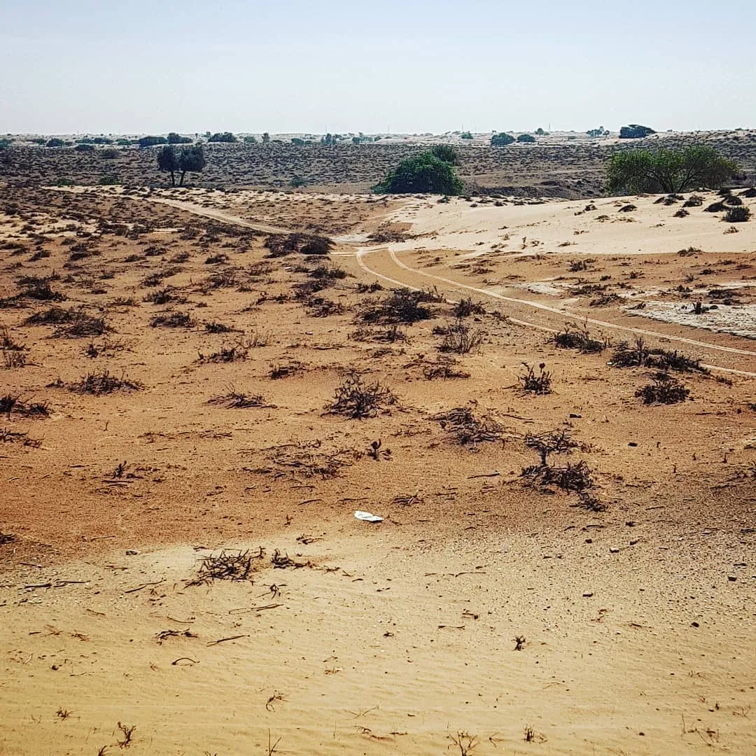 Ed-Dur Ed-Dur — archaeological site in Al Salmah, Umm Al Quwain