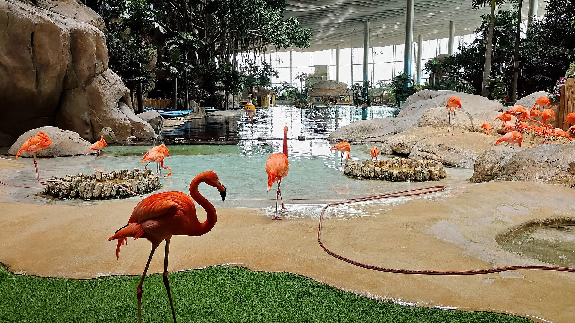 SeaWorld Abu Dhabi, Yas Island, Abu Dhabi