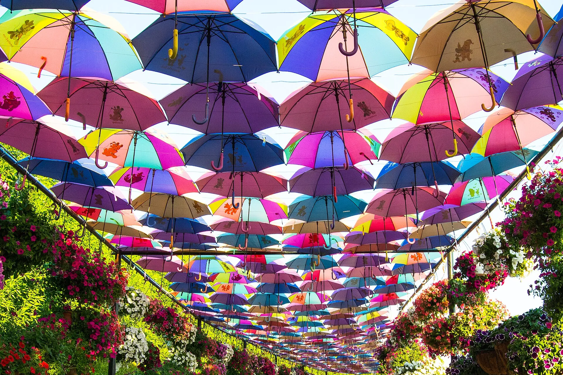 Dubai Miracle Garden, Al Barsha South 3, Dubai