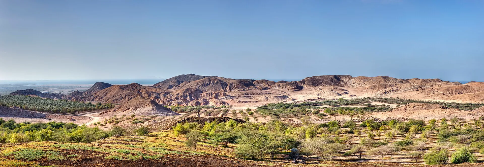 Sir Bani Yas Island, Sir Bani Yas, Abu Dhabi